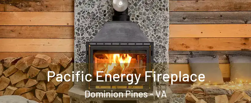 Pacific Energy Fireplace Dominion Pines - VA