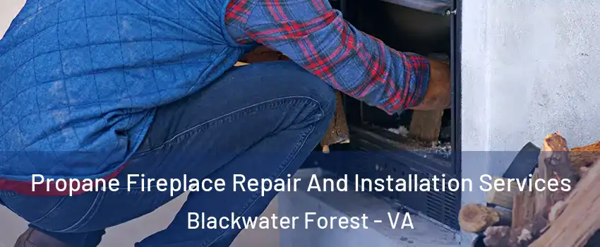 Propane Fireplace Repair And Installation Services Blackwater Forest - VA