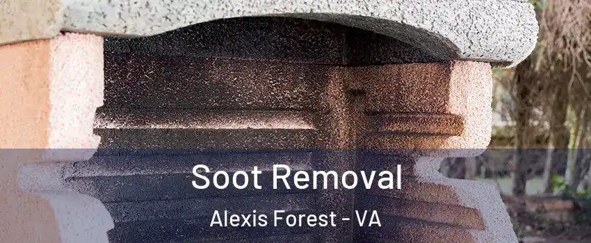 Soot Removal Alexis Forest - VA