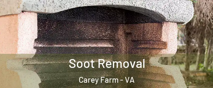 Soot Removal Carey Farm - VA