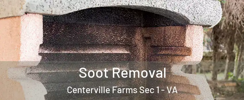 Soot Removal Centerville Farms Sec 1 - VA