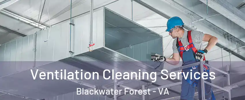 Ventilation Cleaning Services Blackwater Forest - VA