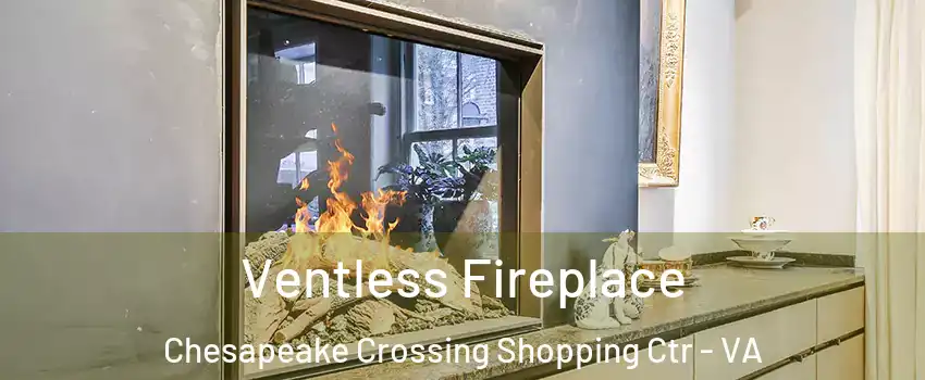 Ventless Fireplace Chesapeake Crossing Shopping Ctr - VA