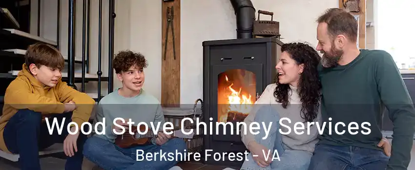 Wood Stove Chimney Services Berkshire Forest - VA