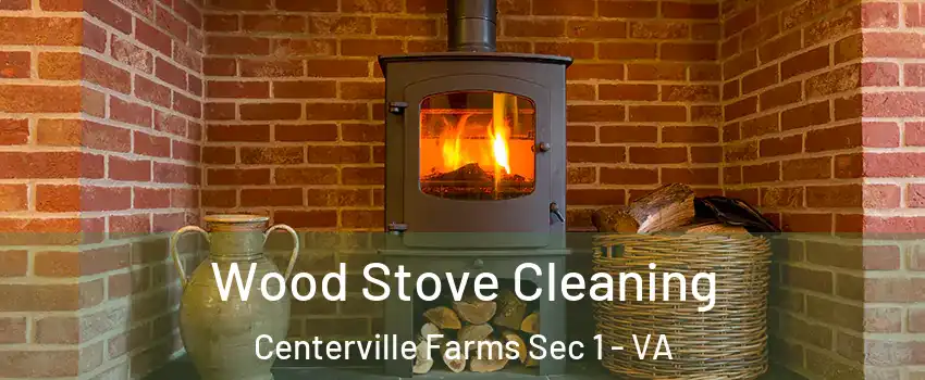 Wood Stove Cleaning Centerville Farms Sec 1 - VA